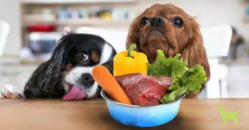 犬が食べられる野菜は何ですか？ なぜ犬は野菜を食べる必要があるのでしょうか？