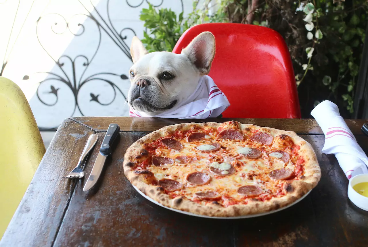 犬はピザを食べられますか？ うちのピザの材料は犬に有害？