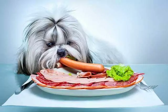犬は生のベーコンを食べてもいいのでしょうか？ ベーコンは犬にとって悪いものなのでしょうか？